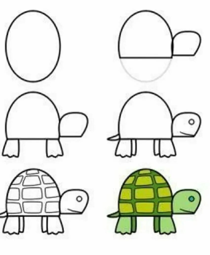 Нарисовать детские рисунки легко. Пошаговое рисование для детей. Черепаха поэтапное рисование для детей. Рисование для детей 5-6. Поэтапное рисование черепахи для дошкольников.