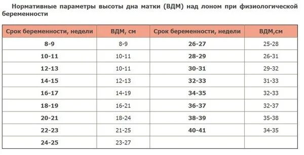 Матка в 14 недель. Высота дна матки. Высота стояния дна матки. ВДМ высота стояния дна матки. ВДМ при беременности таблица.