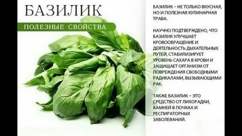 Полезные свойства основ