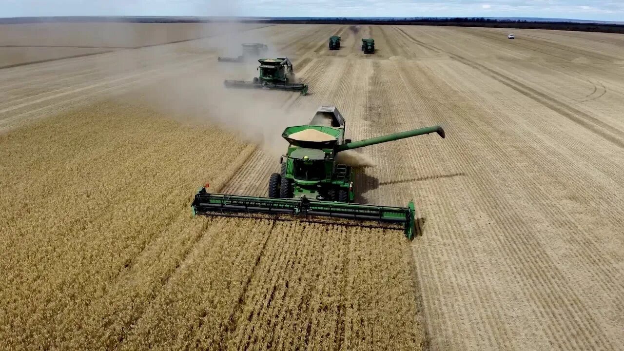 Уборка озимой пшеницы. Урожай 20. Топ экспортеров зерна 2020. Экспорт зерна. Сроки уборки озимой пшеницы.