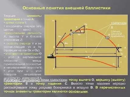 Найдите профессионализмы выделите их цветом антропометрия баллистика