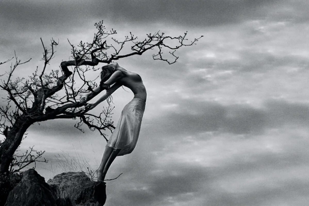 Внутренняя боль. Mecuro b Cotto фотограф. Светлана Лаврентьева кот басё. Девушка дерево. Дерево над пропастью.