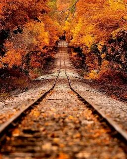 Fall but