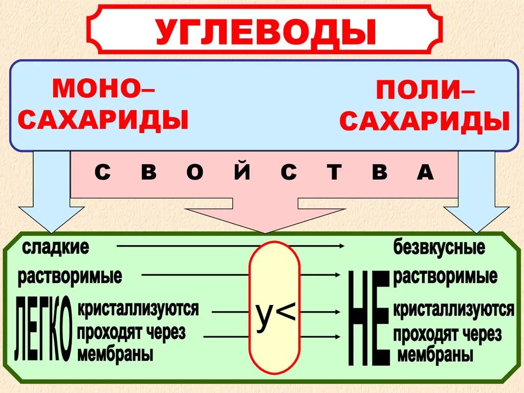 Углеводы липиды строение. Углеводы биология. Углеводы биология 10 класс. Презентация по биологии 10 класс углеводы. Углеводы презентация 10 класс.