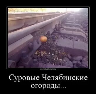 Суровый долго