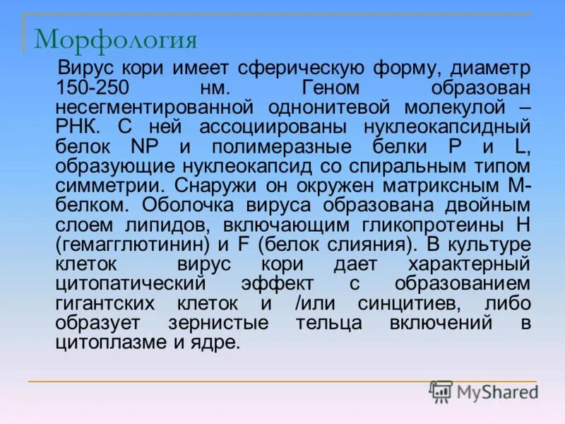 Рнк-вирус рода морбилливирусов семейства парамиксовирусов. Рнк-вирус рода морбилливирусов семейства парамиксовирусов. Строение вириона кори. Корь строение вируса. Вирус кори строение.