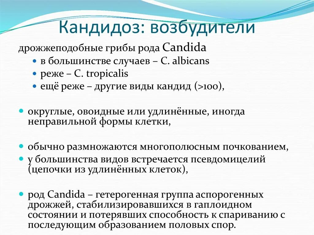 Факторы кандидоза. Факторы патогенности возбудителя кандидоза. Болезни вызванные грибами кандида. Характеристика возбудителя кандидоза. Виды грибов рода кандида.