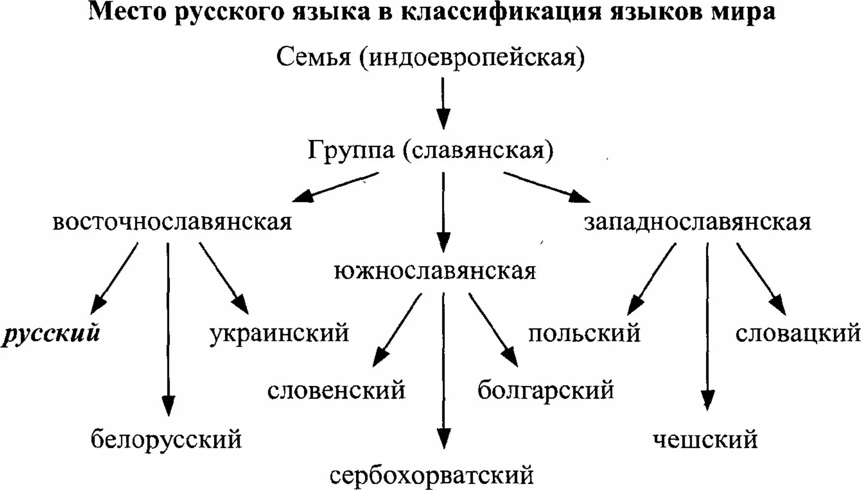 Тип славянских языков. Классификация славянских языков. место русского языка в классификации языков мира. славянские языки схема. классификация языков мира таблица.