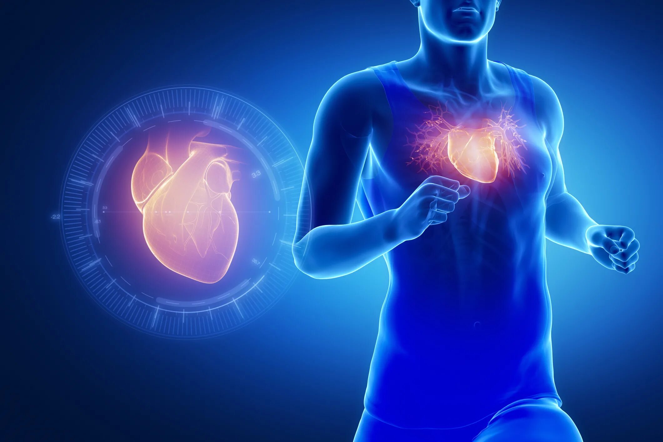 Health improved. Сердце спортсмена. Влияние спорта на сердечно-сосудистую систему. Сердце человека и спортсмена.