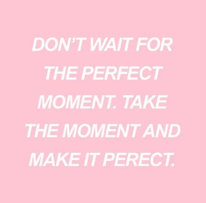 Take the moment and make it perfect. Don't wait for a perfect moment take the moment and make it perfect. Блокнот take the moment and make it perfect. Розовые предложения. Take this moment