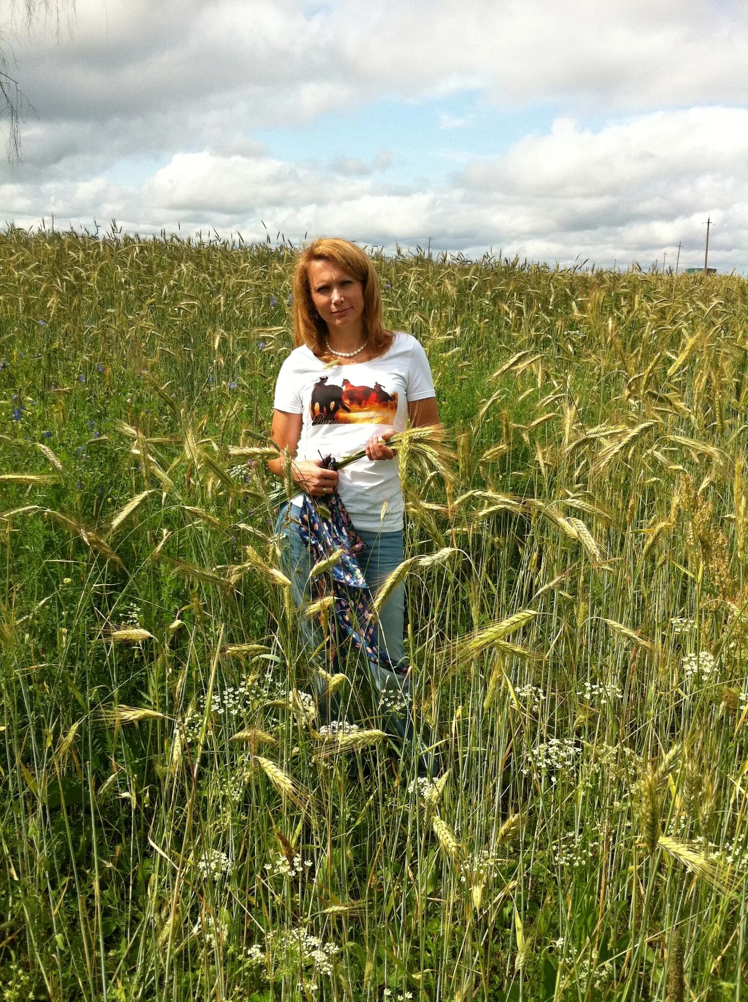 Педос. Педос. Педос. Педос. Педос ком.