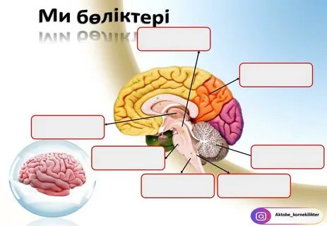 Үлкен сиқырлармен және үлкен писькилермен блят
