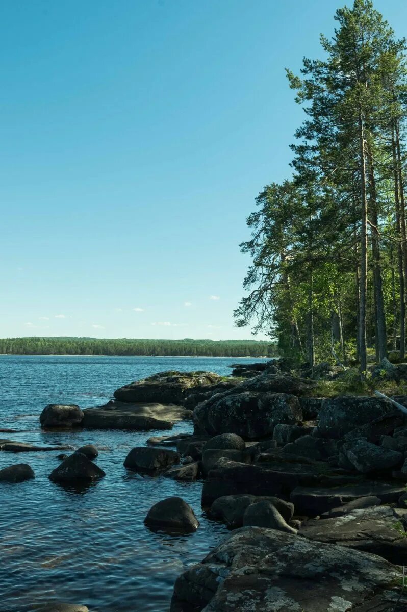 В этой республике онежское озеро. Карелия Онежское озеро шхеры. Озеро Онега Карелия. Онежское озеро Петрозаводск. Белое озеро Карелия.