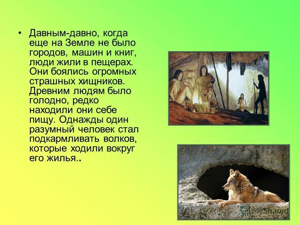 Что будет если исчезнет почва. Охрана исчезающих видов животных. Если бы на земле не было животных. Если бы на земле не было животных. Что будет если исчезнут животные.