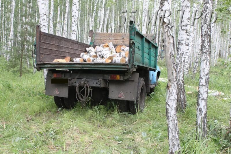 Самодельные в омской области. Черлакский лесхоз Омской области. Черные лесорубы Омск. Большереченское лесничество. Дрова в Большереченском районе.