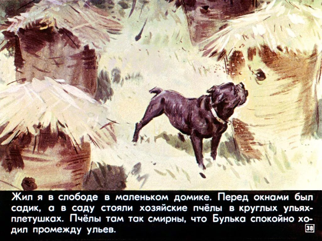 Булька тема. Иллюстрация к рассказу булька толстого. лев николаевич толстой булька. рассказ л.н.толстого булька. лев толстой булька читательский дневник.