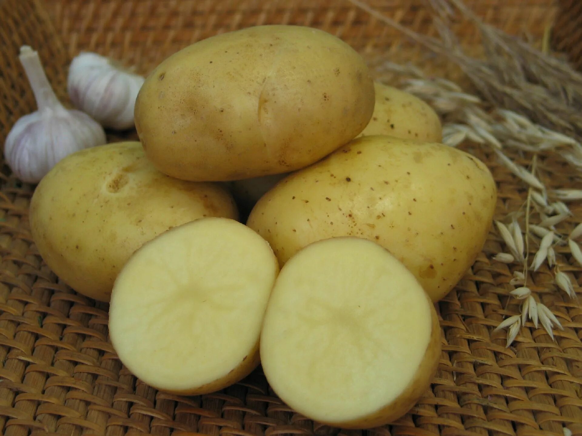 Триумф картофель характеристика отзывы. Картофель семенной Триумф. Картофель семенной "СЕДЕК" Триумф 2кг. Картофель Триумф элита. Семенной картофель 2 кг СЕДЕК.