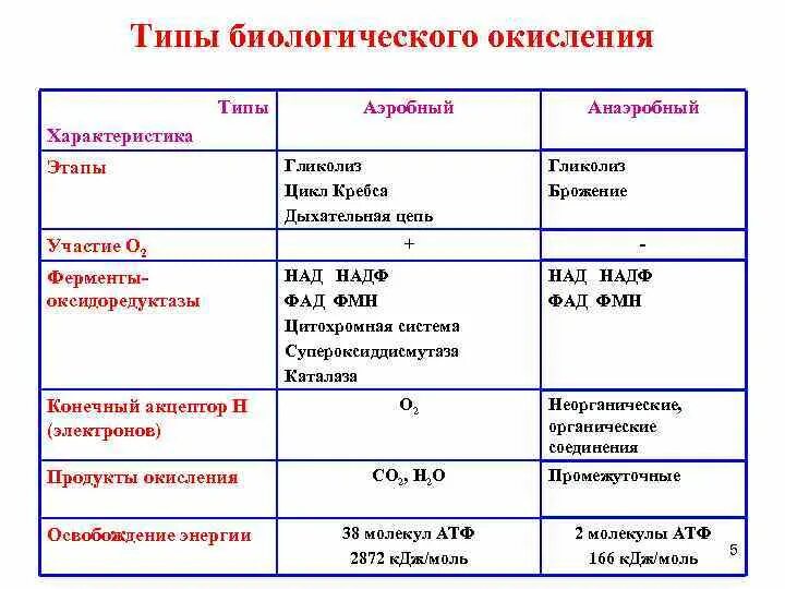 Таблица сравнение дыхания