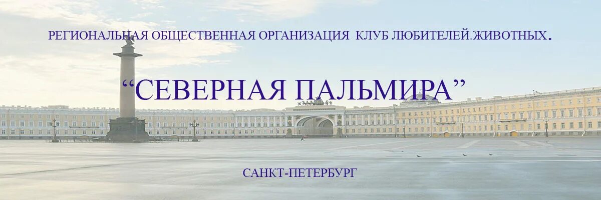 Билеты на северную пальмиру за сколько дней