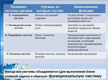 Функции всех органов
