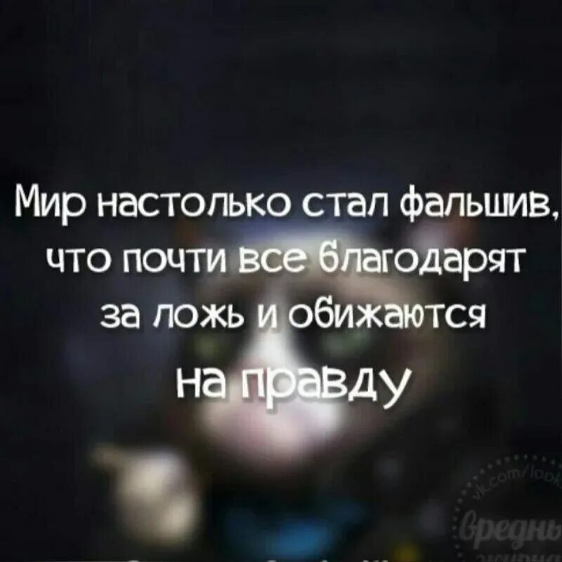 Человек которого знает весь мир. Высказывания про ложь. Цитаты про правду. Цитаты про вранье. Фразы про ложь.