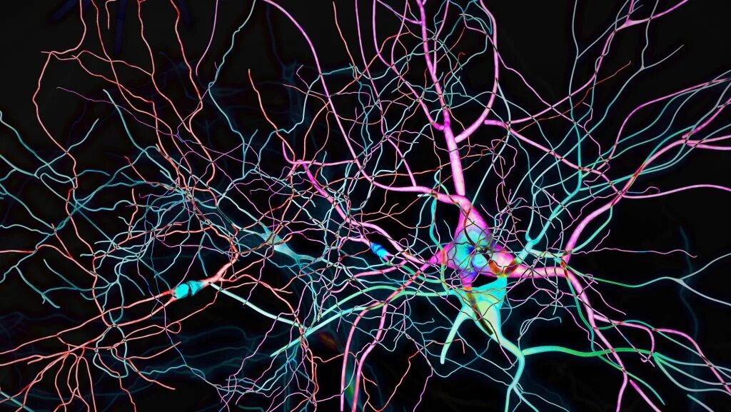 Нейроны мозга. Нейронные связи в мозге. Нейрон нейросети. Мозг человека Нейроны.