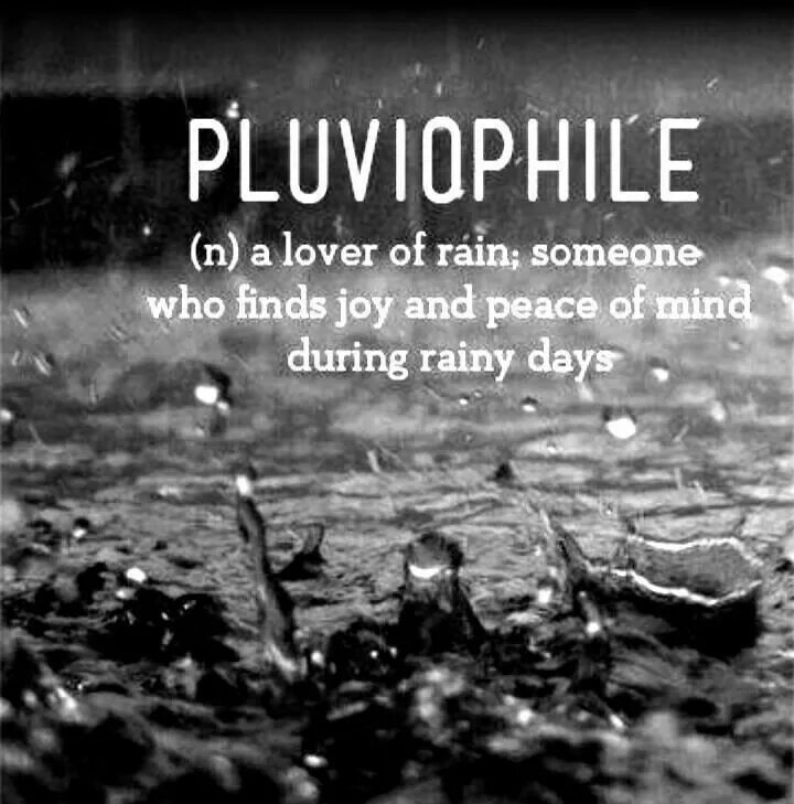 During rain. Плувиофил. Плювиофил это. Pluviophile перевод. Game pluviophile.