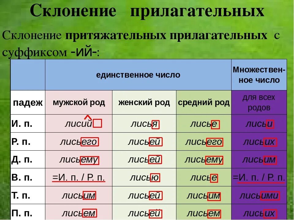 На светлых волосах род и падеж. Имя прилагательное. Склонение имен прилагательных по падежам.. Склонение притяжательных имен прилагательных. Склонение прилагатеоль. Склонение прилогательны.