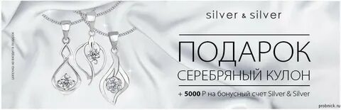 Сильвер интернет