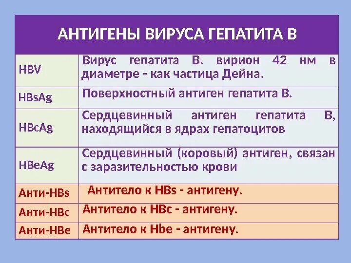 Вирус гепатита с строение вируса. Нвс антиген вируса гепатита в. Строение вируса гепатита б. Определение антигена вируса гепатита в. Антиген вирус гепатита е структура.
