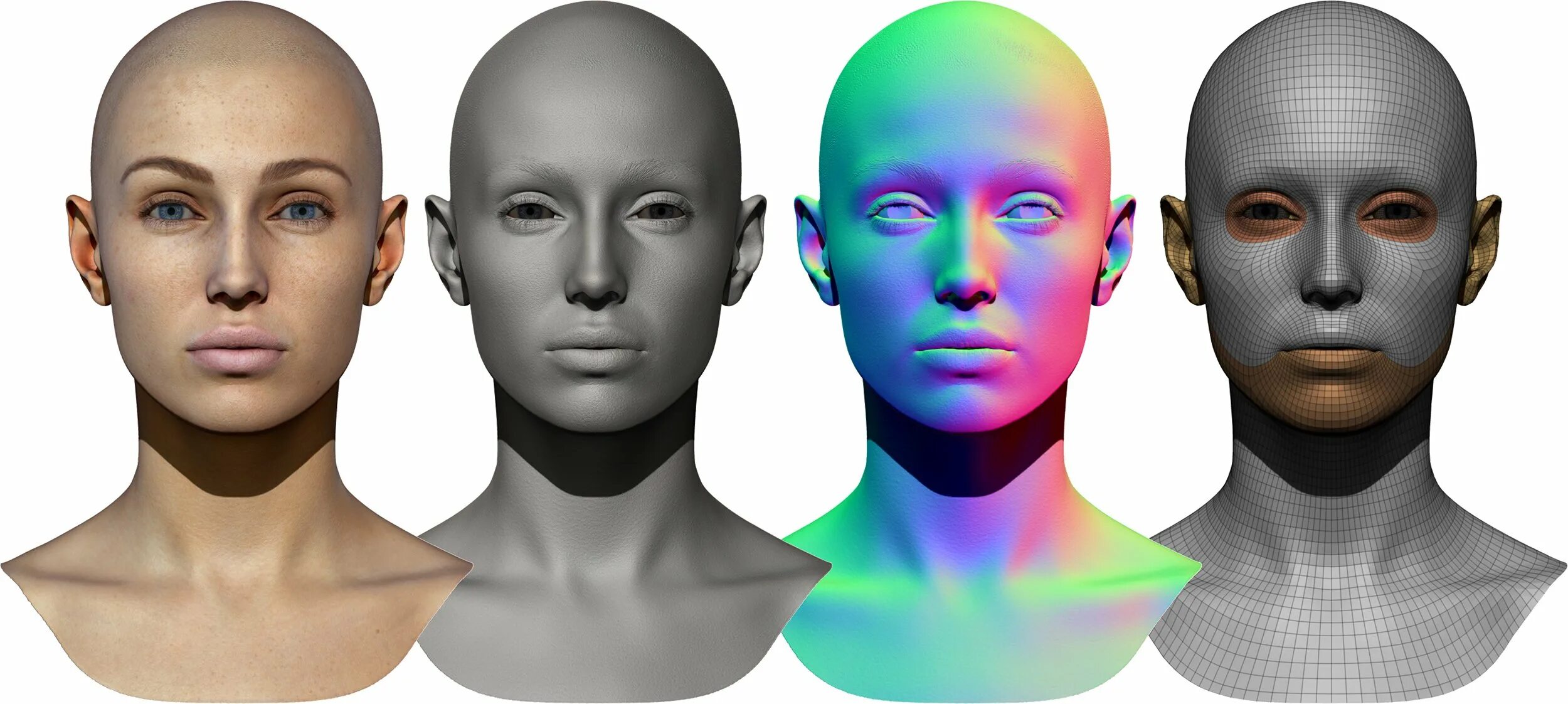 3d scan store - male and female 3d model bundle 48x head scans. 3d head scan развертка женщины в хорошем качестве. Human head 3d scan. Причёска альбедо парик. 3д голова человека для художников.