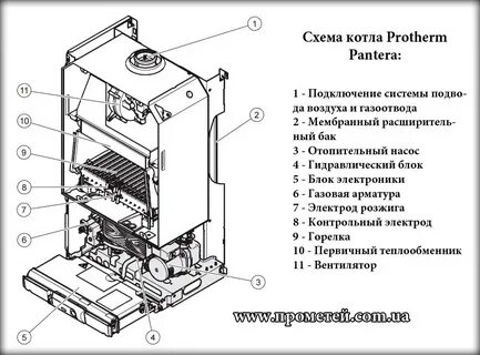 Схема котла протерм