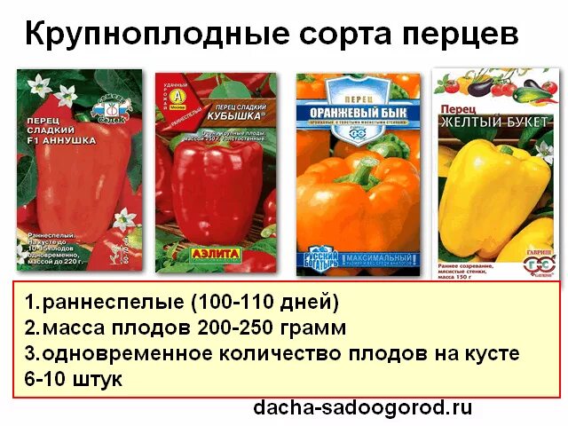 Сладкий перец какой лучше. Семена перца сладкого название. Ранние сорта перца сладкого для открытого грунта в Сибири. Перец семена лучшие сорта. Перец болгарский сорта.