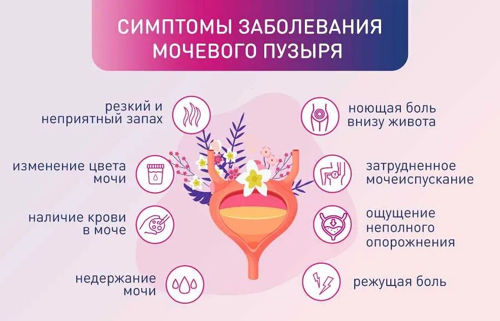 Болит мочевой пузырь у женщин лечение. Воспалительные заболевания мочевого пузыря. мочевой пузырь болезни симптомы у женщин. болит мочевой пузырь у женщины.