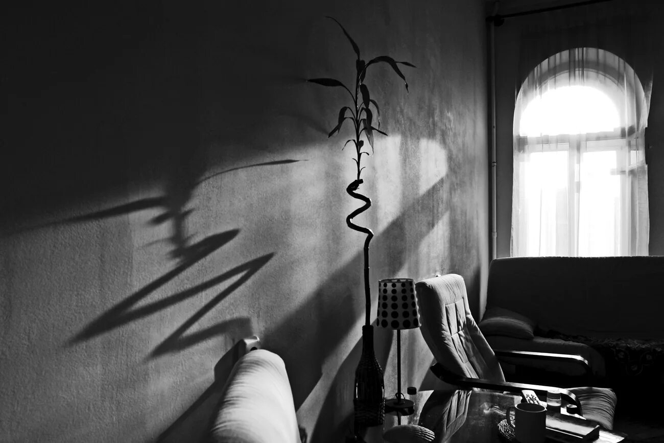 Тень на стене. Теневые комнаты. Теневые комнаты. Тень на стене. Тень эстетика.