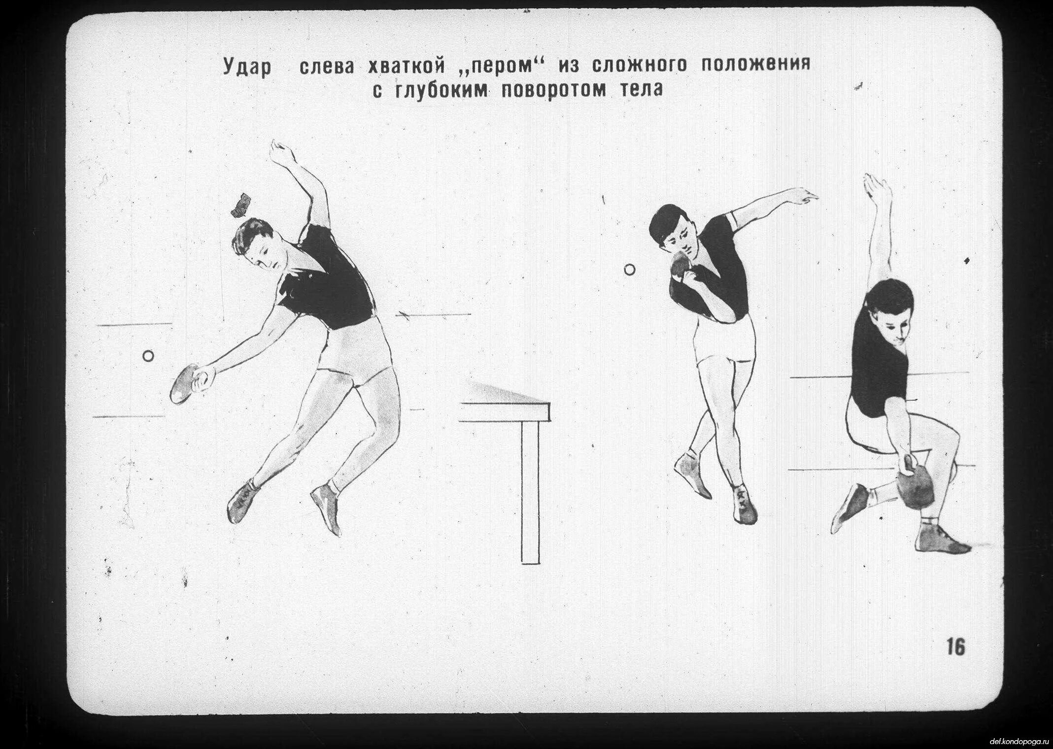 Техника подачи в настольном теннисе. Удары в настольном теннисе. Удары в настольном теннисе в картинках. Подача в настольном теннисе. Какая подача в настольном теннисе