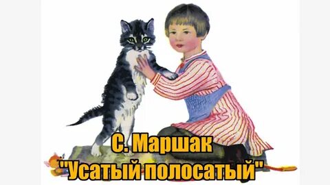 Усатый полосатый приют кемерово