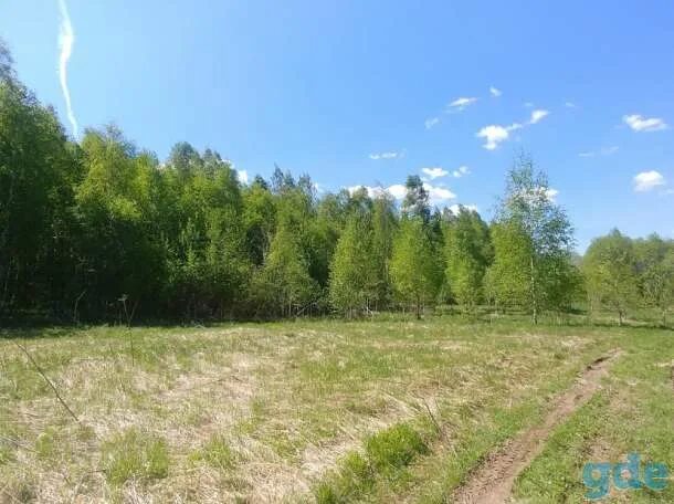 Участки по рогачевскому шоссе. Участки по рогачевскому шоссе. Фото г. Рогачевское шоссе. 38 километр поселок.