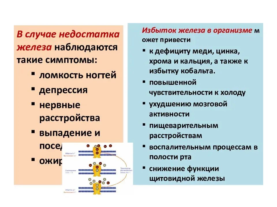 Избыток железа симптомы. Железо избыток и недостаток. Железо переизбыток в организме симптомы. Избыток железа в организме человека.