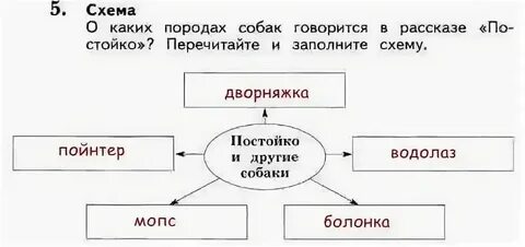 Заполни схему животное