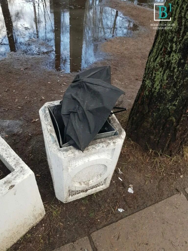 Погода во Всеволожске. Погода Всеволожск сегодня. Погода во Всеволожске сейчас. Погода во Всеволожске на неделю. Погода всеволожск по часам