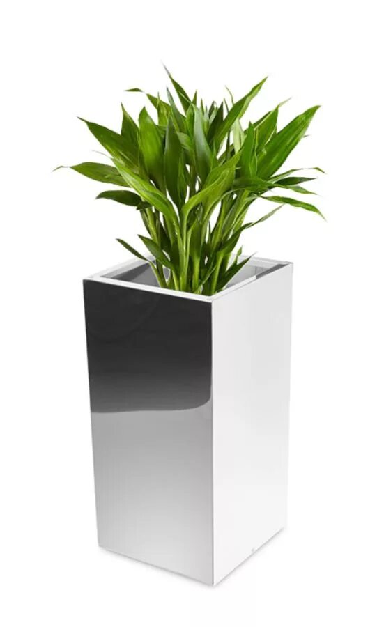 Кашпо Piazza Square Tall Planter 35 см. 35 Plants. Effect plants