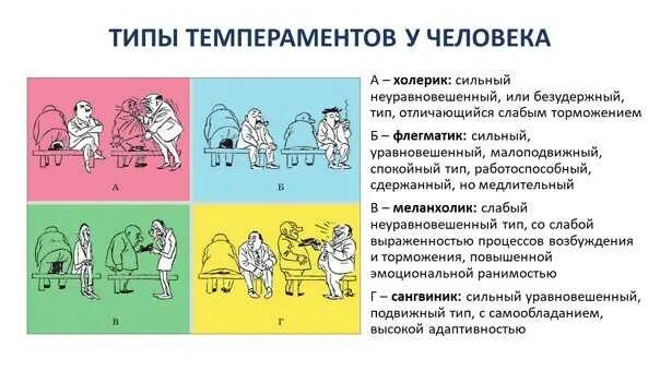 Темпераменты сангвиник холерик это. Типы личности флегматик сангвиник. флегматик сангвиник холерик меланхолик интроверт. темперамент сангвиник меланхолик совместимость. сангвиник меланхолик холерик флегматик типы.