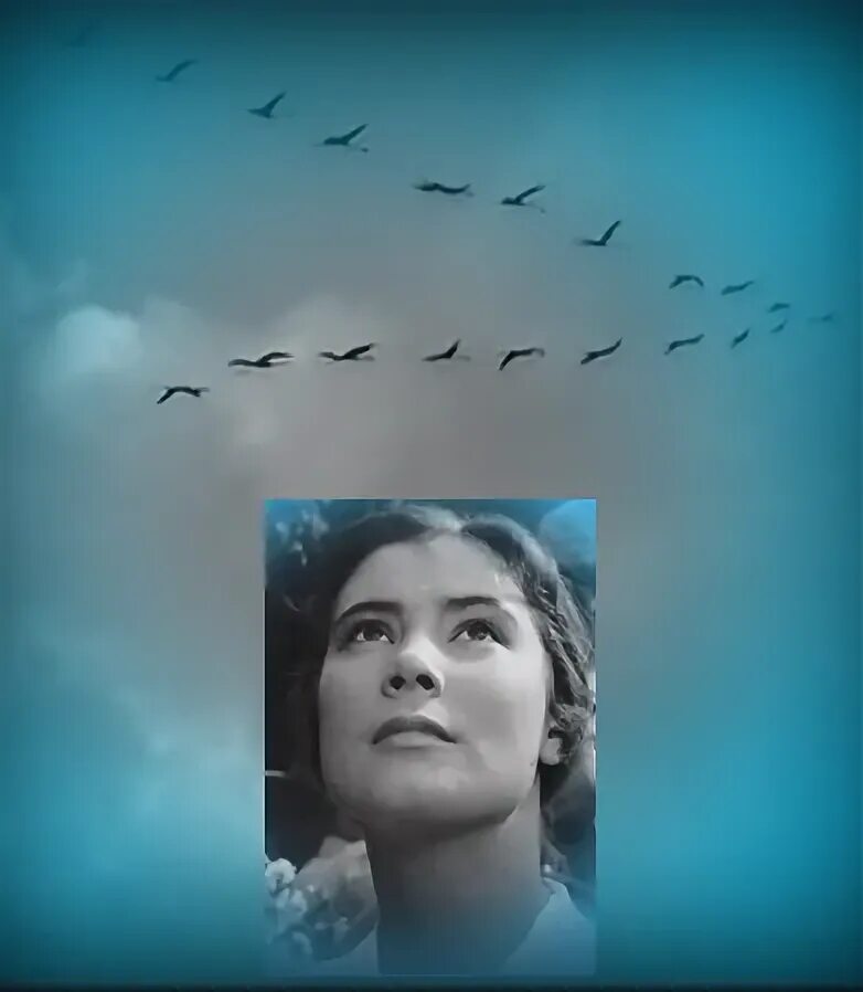 Летят журавли живи моя мама живи. «летят журавли» михаила калатозова. К. Летят журавли живи моя мама живи. К.
