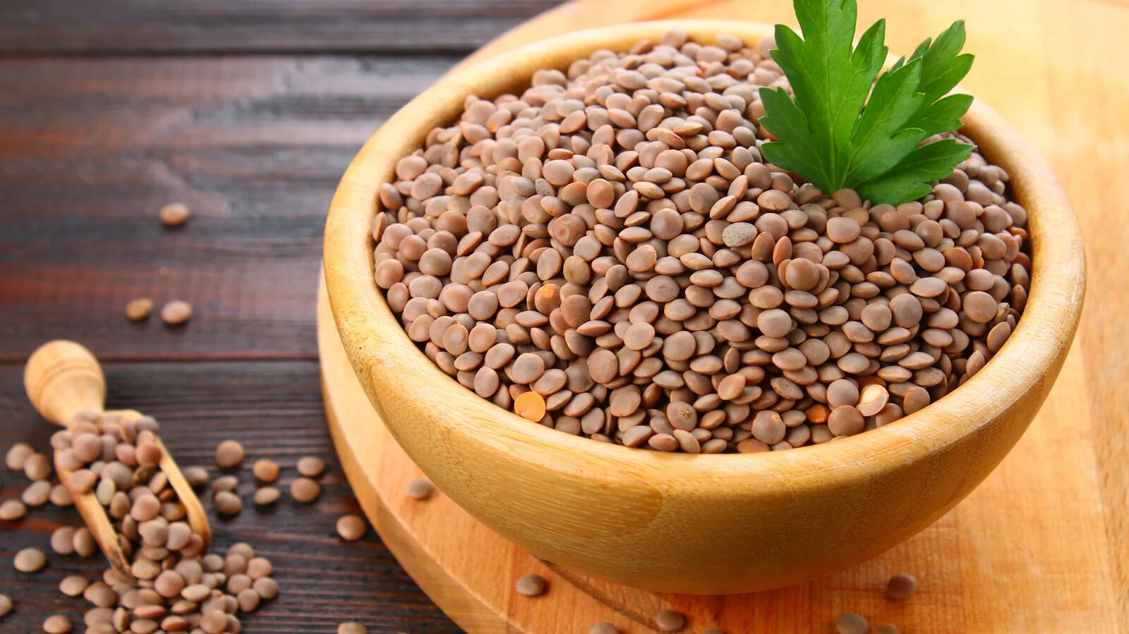 Lentil
