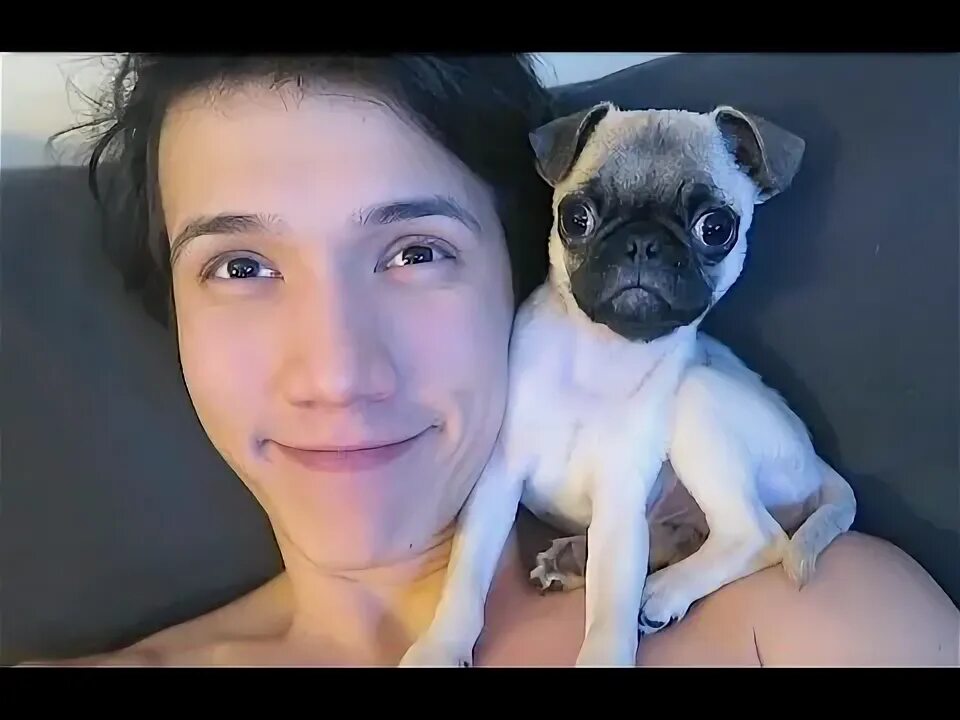 Щенок джек рассел 3 месяца фото. Щенки daddy. Идеи фотографий с собакой. Щенки daddy. Щенки daddy.