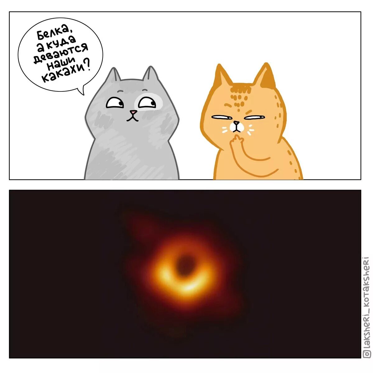 Почему котикам 1 час