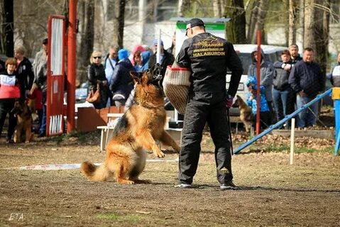 Фигурант