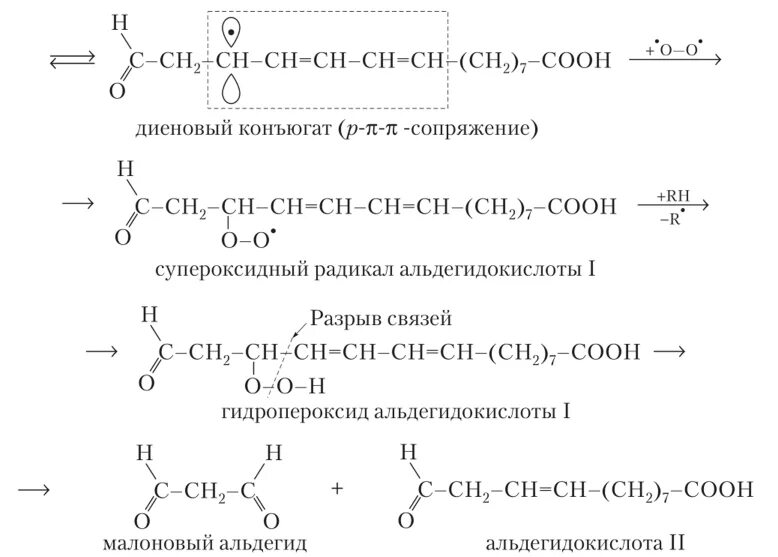 Пероксидное окисление линолевой кислоты. Пероксидное окисление олеиновой кислоты. Пероксидное окисление высших жирных кислот. Пероксидное окисление олеиновой кислоты реакция.