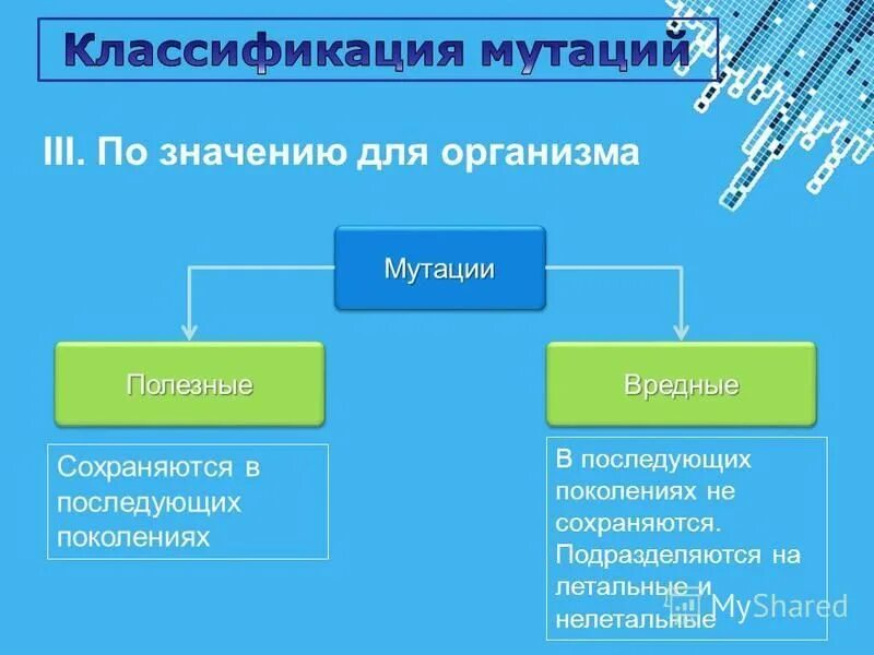 полезные и вредные мутации примеры. классификация мутаций по адаптивному значению. полезные мутации примеры у человека. полезные мутации организма. вредные мутации примеры.